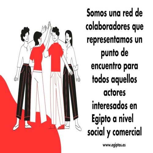 Red de colaboradores